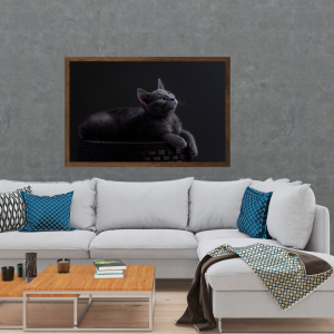 Mockup-Animais-Gato-Cinza-Banco-de-Imagens-cod.-VAN-05