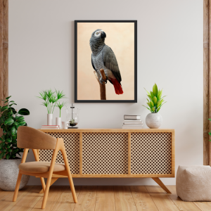 Mockup-Animais-Papagaio-Cinzento-Banco-de-Imagens-cod.-VAN-03