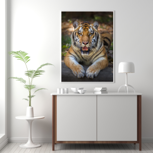 Mockup-Animais-Tigre-B.-Imagens-Felino-03-cod.-VAN-06