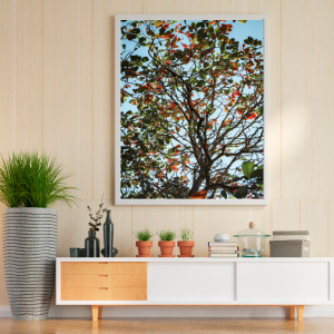 Mockup-Florais-Gravetos-Curadoria-M.-9-cod.-VF-01