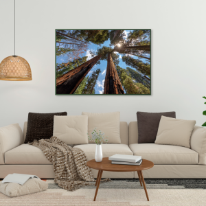 Mockup-Paisagem-e-Natureza-Arvores-Paulo-Razz-648-cod.-VPN-03