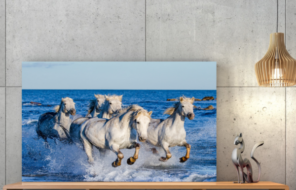 Quadro Decorativo Cavalos e Mar - Image 4