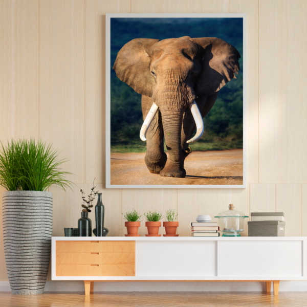 Quadro Decorativo Elefante