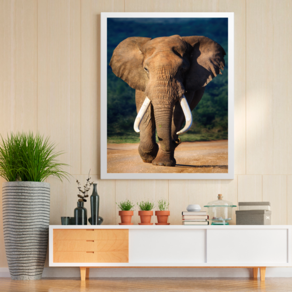 Quadro Decorativo Elefante - Image 4