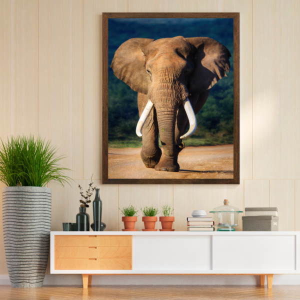 Quadro Decorativo Elefante - Image 3