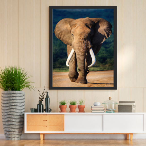 Quadro Decorativo Elefante - Image 5