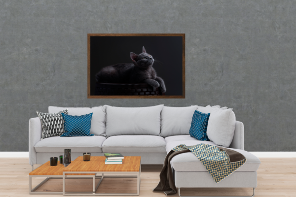 Quadro Decorativo Gato Cinza