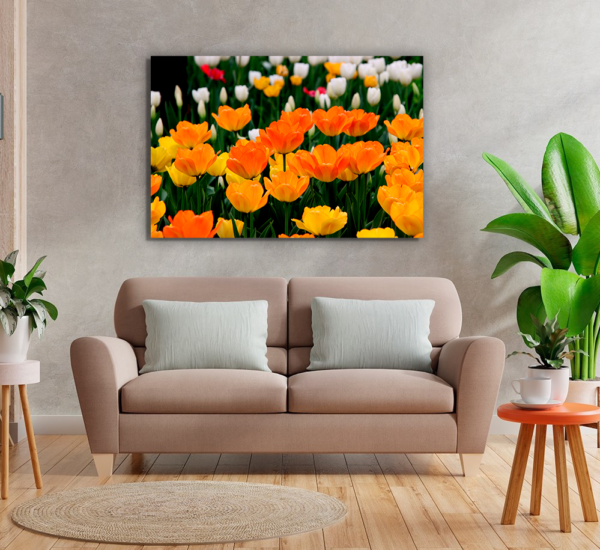 Quadro Decorativo Tulipas