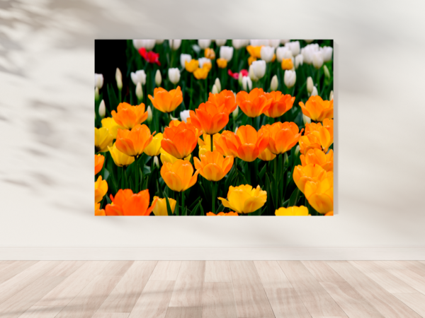 Quadro Decorativo Tulipas - Image 4