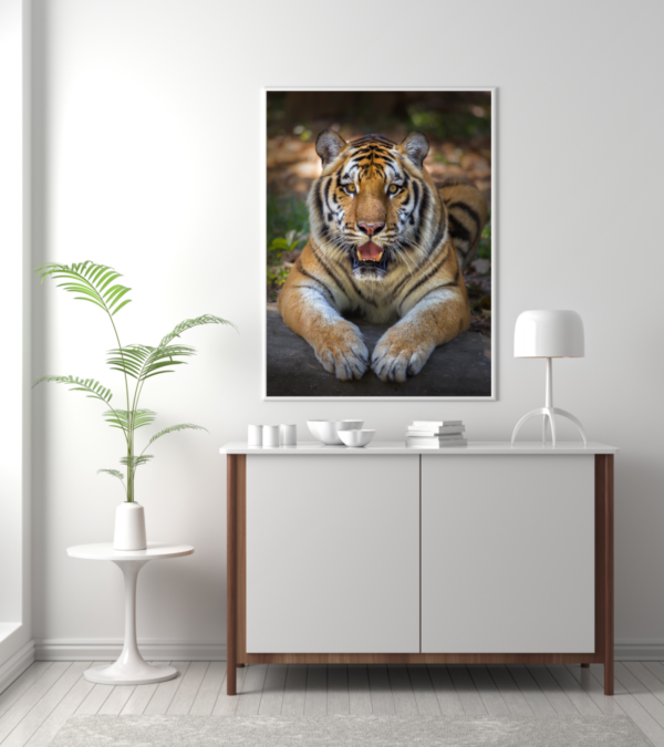 Quadro Decorativo  Tigre