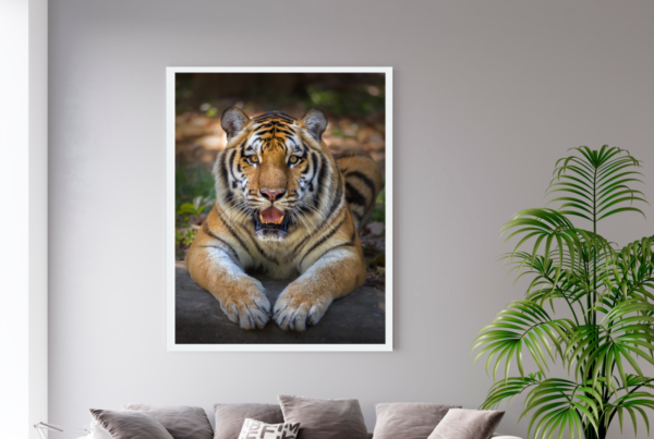 Quadro Decorativo  Tigre - Image 3