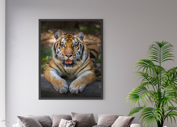 Quadro Decorativo  Tigre - Image 2